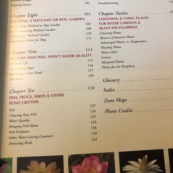 Creative Homeowner Complete Guide To Water Gardens - ponds, fountains ,streams - Picture 5 of 9